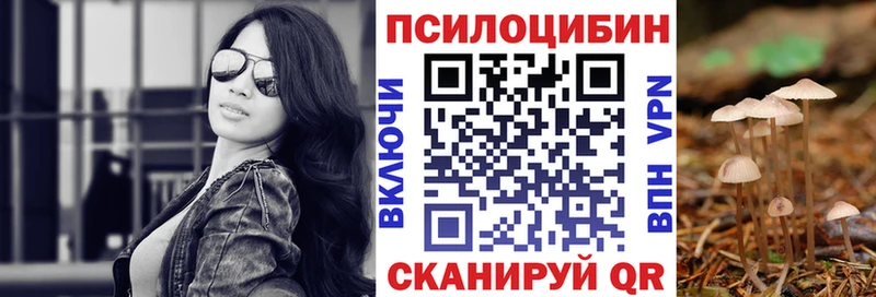 Псилоцибиновые грибы Cubensis  Купить закладки  Оленегорск 
